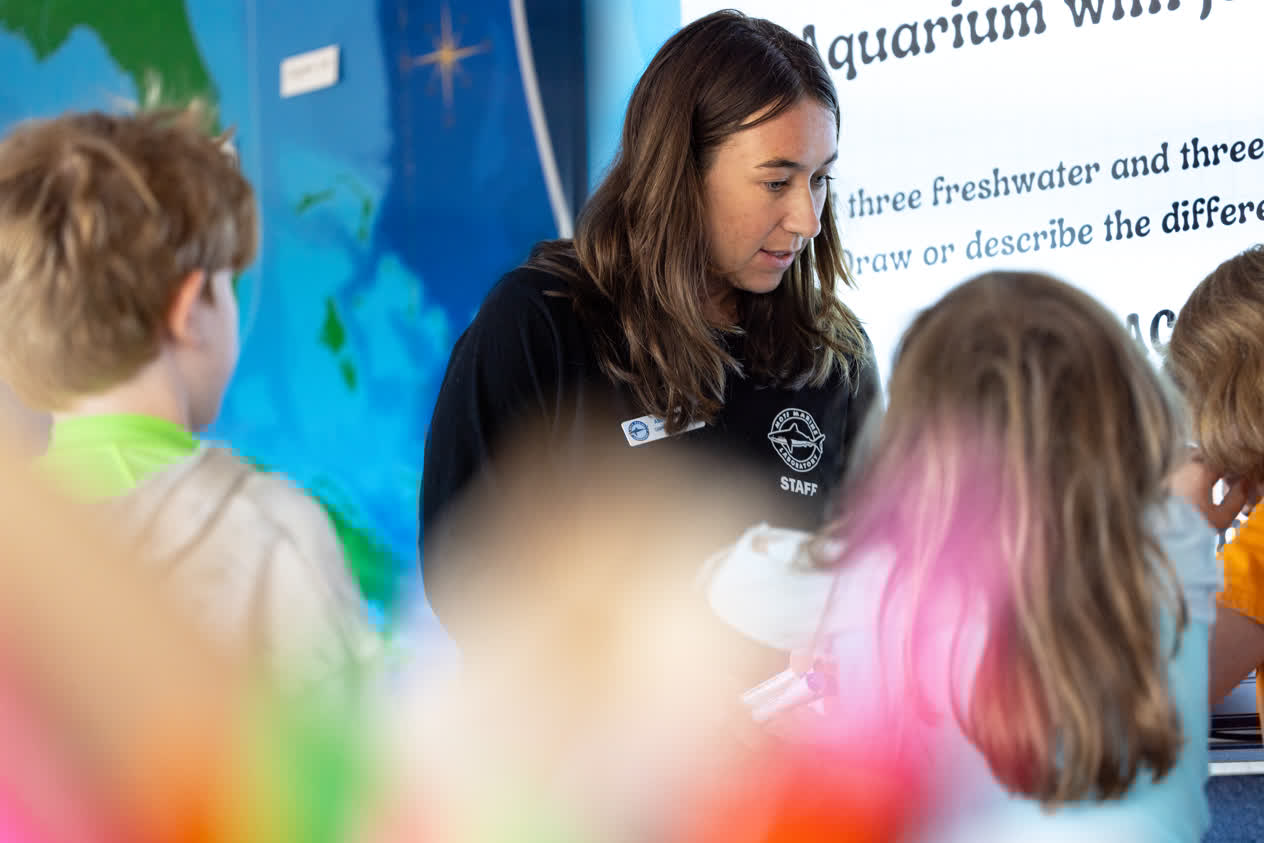 Education program kids learning in the aquarium