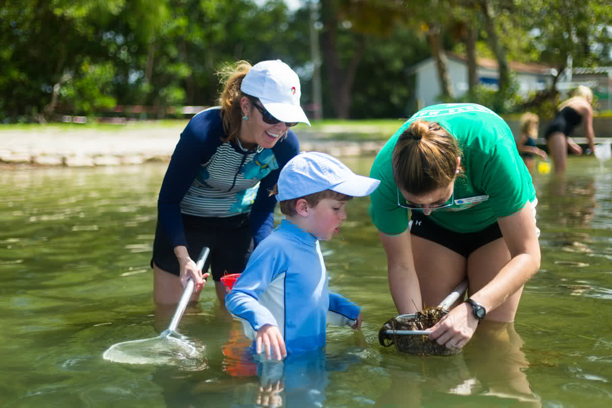 Education Program child dip netting in the bay with parent