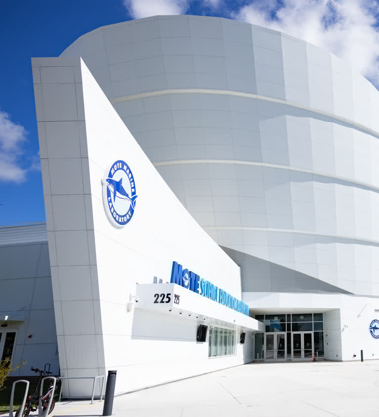 Photo: The entrance to Mote Science Education Aquarium, a modern building with sweeping lines in front of a bright blue sky