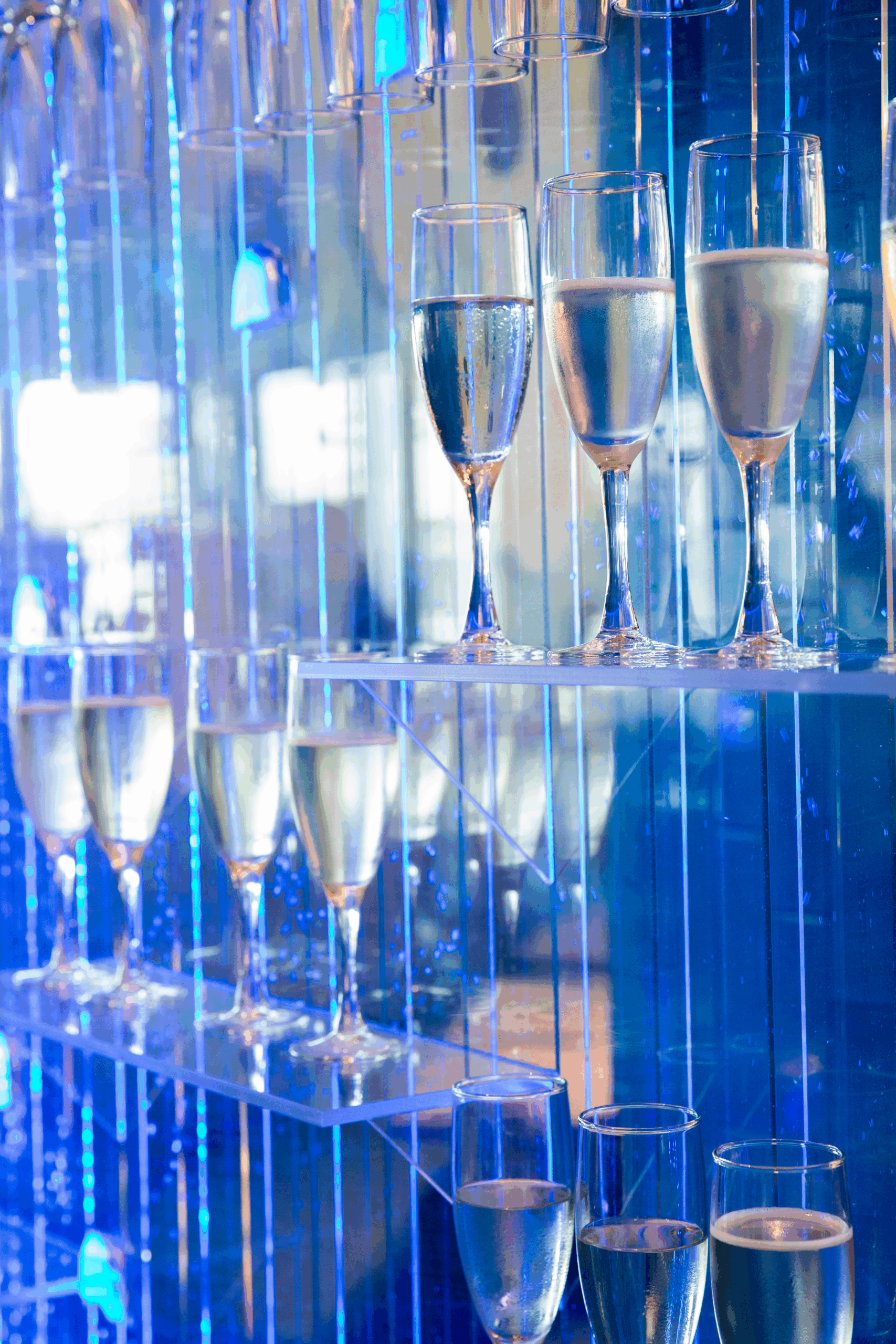 Mote Science Education Aquarium decorated for a special event