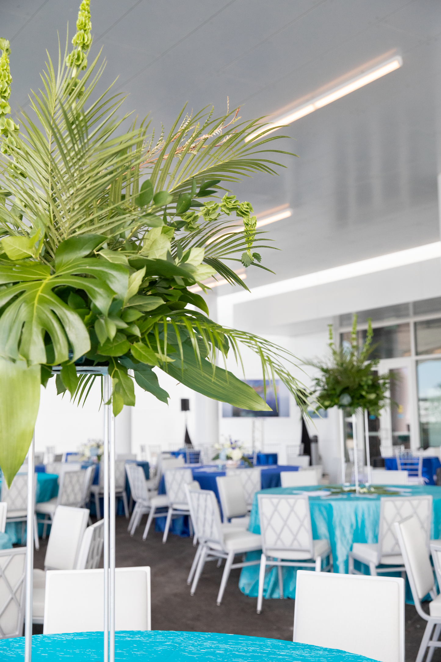 Mote Science Education Aquarium decorated for a special event