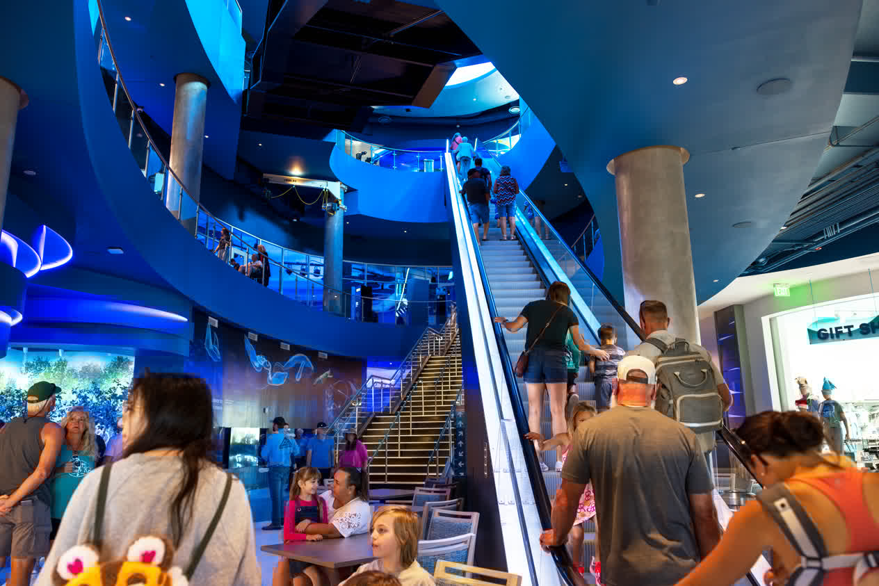 The atrium of Mote SEA, as viewed from the first floor