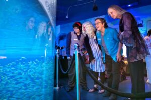 Visitors enjoy the grand opening for Mote Science Education Aquarium