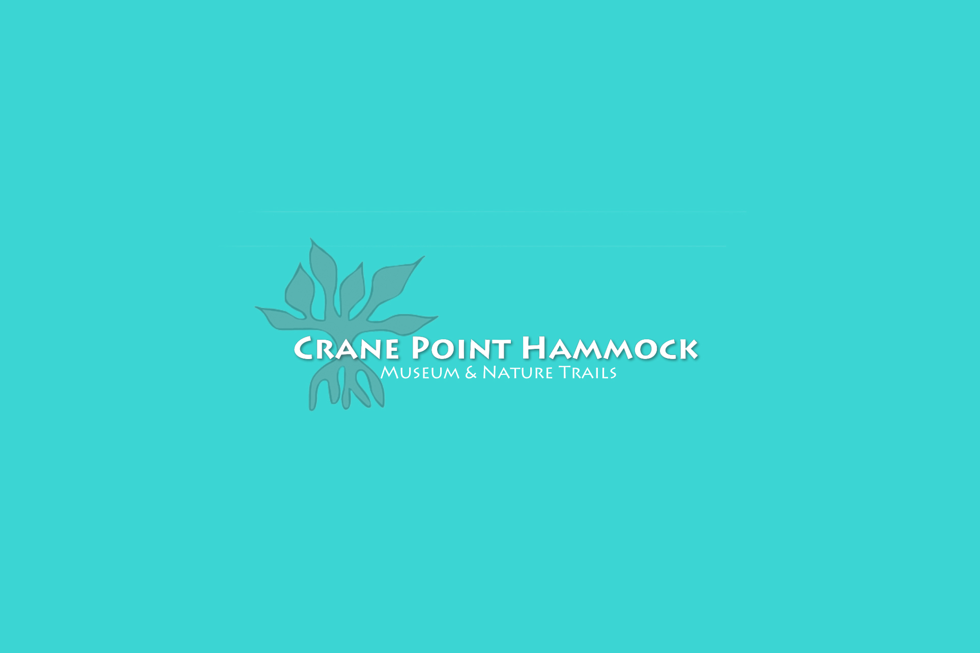 Crane Point Hammock logo