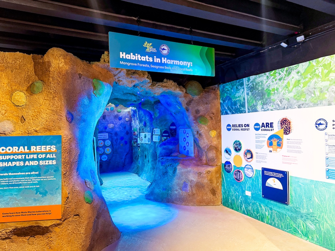 Mote Marine Laboratory & Aquarium's exhibits in the Crane Point Hammock Museum and Nature Center