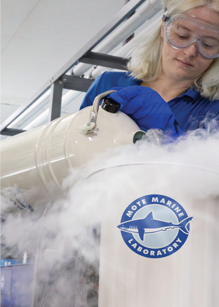 2025 Year End Appeal There's Nothing Like Mote