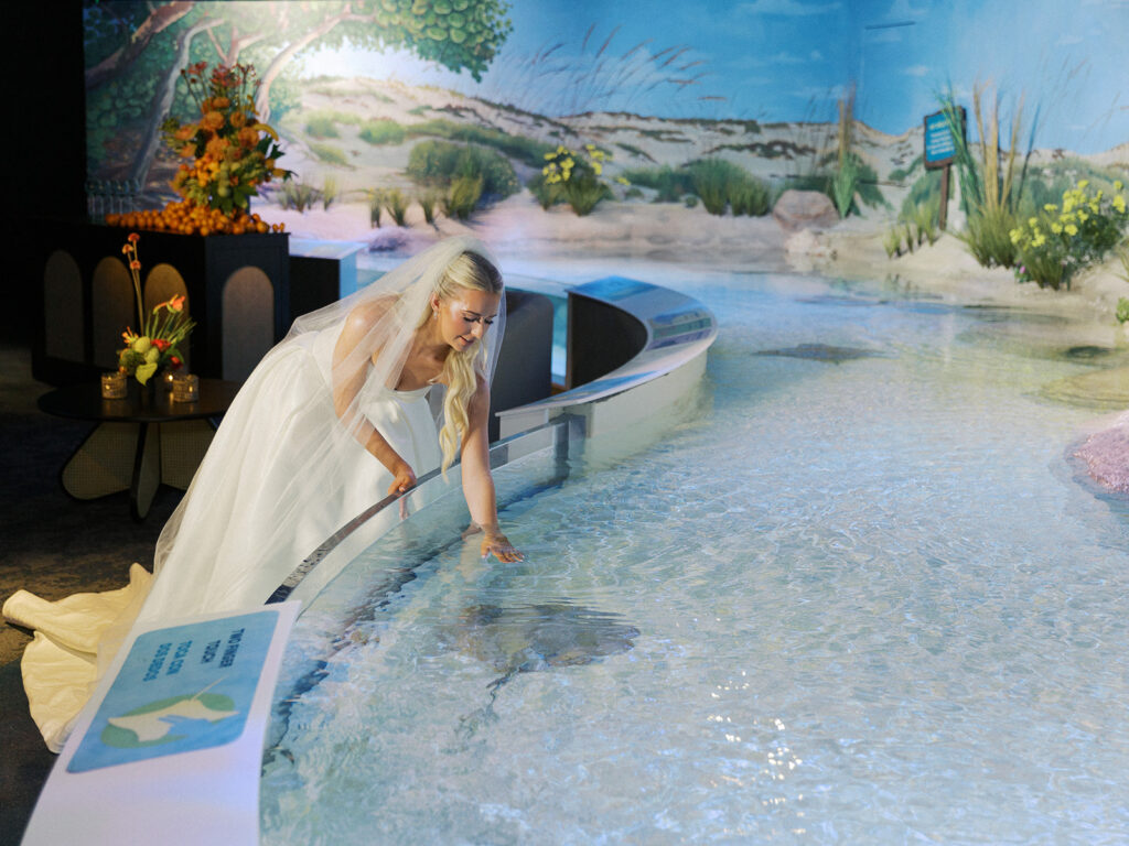 a bride leans into a pool of water to pet a stingray