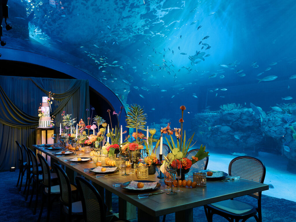 a long table is decorated and set for a meal under a portal of fish and sharks.