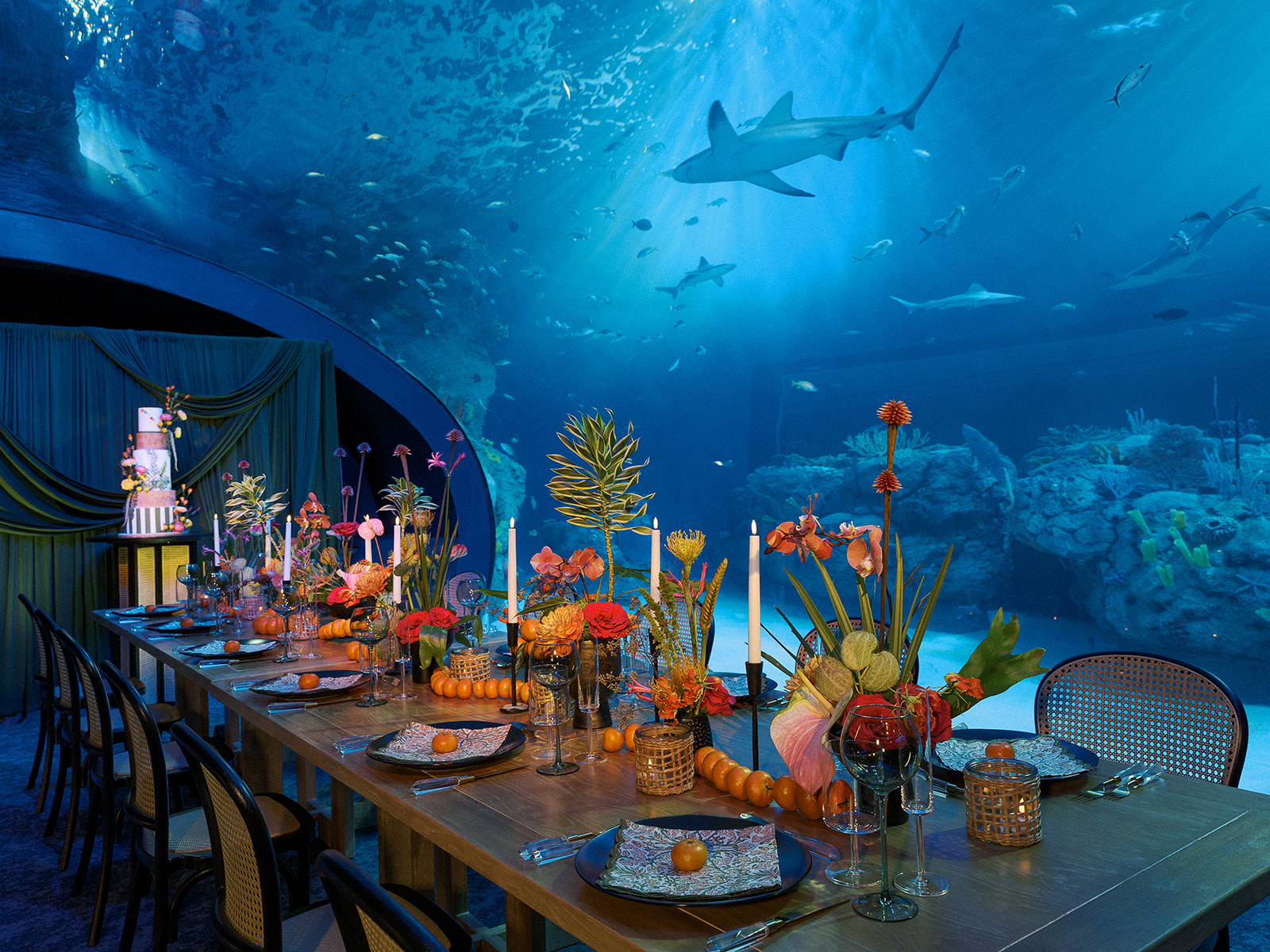 a long table is decorated and set for a meal under a portal of fish and sharks.