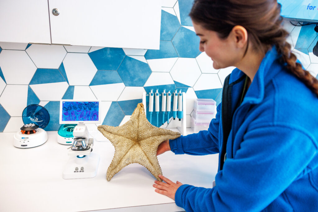 Staff Member with Seastar