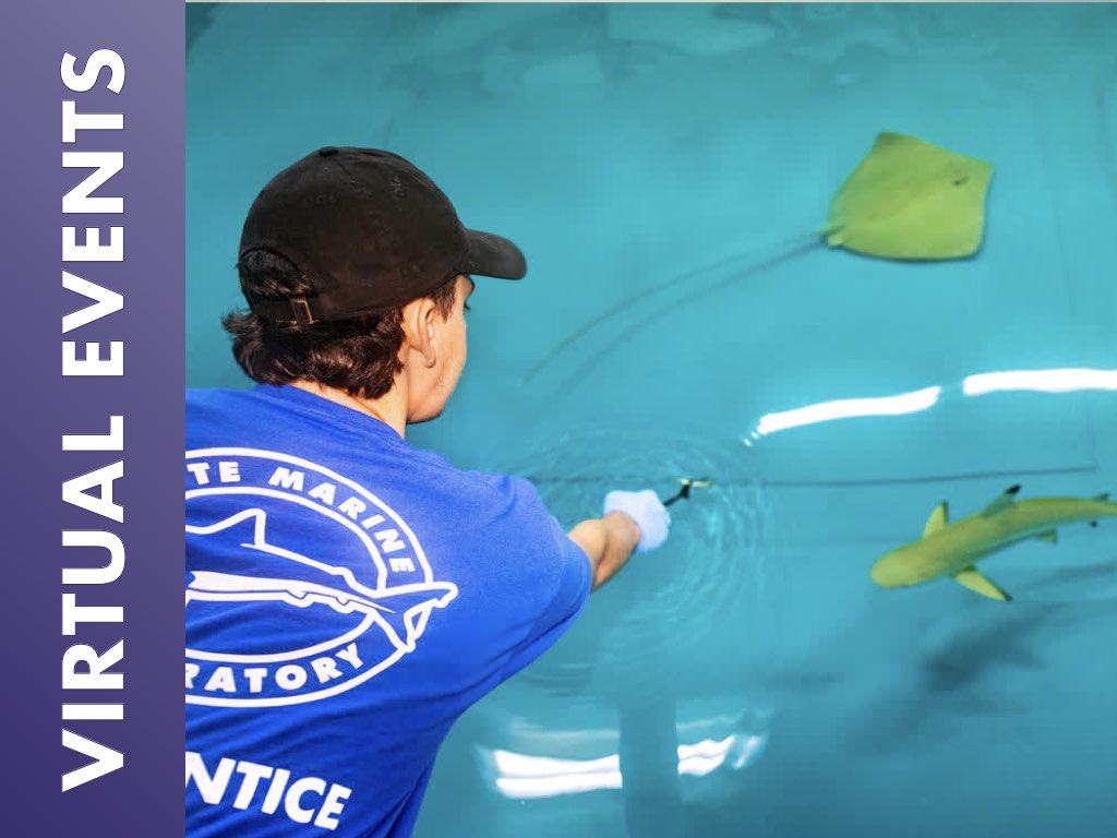 Workforce Industry STEM Exploration