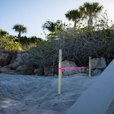 Image for choice number 4