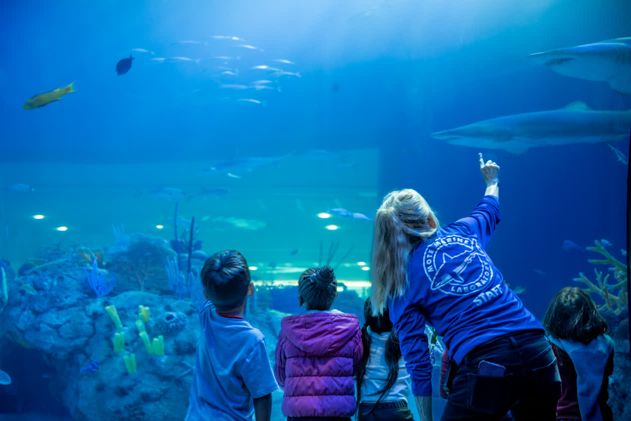 Mote Marine Laboratory & Aquarium receives prestigious accreditation ...