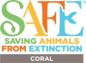 SAFE Coral