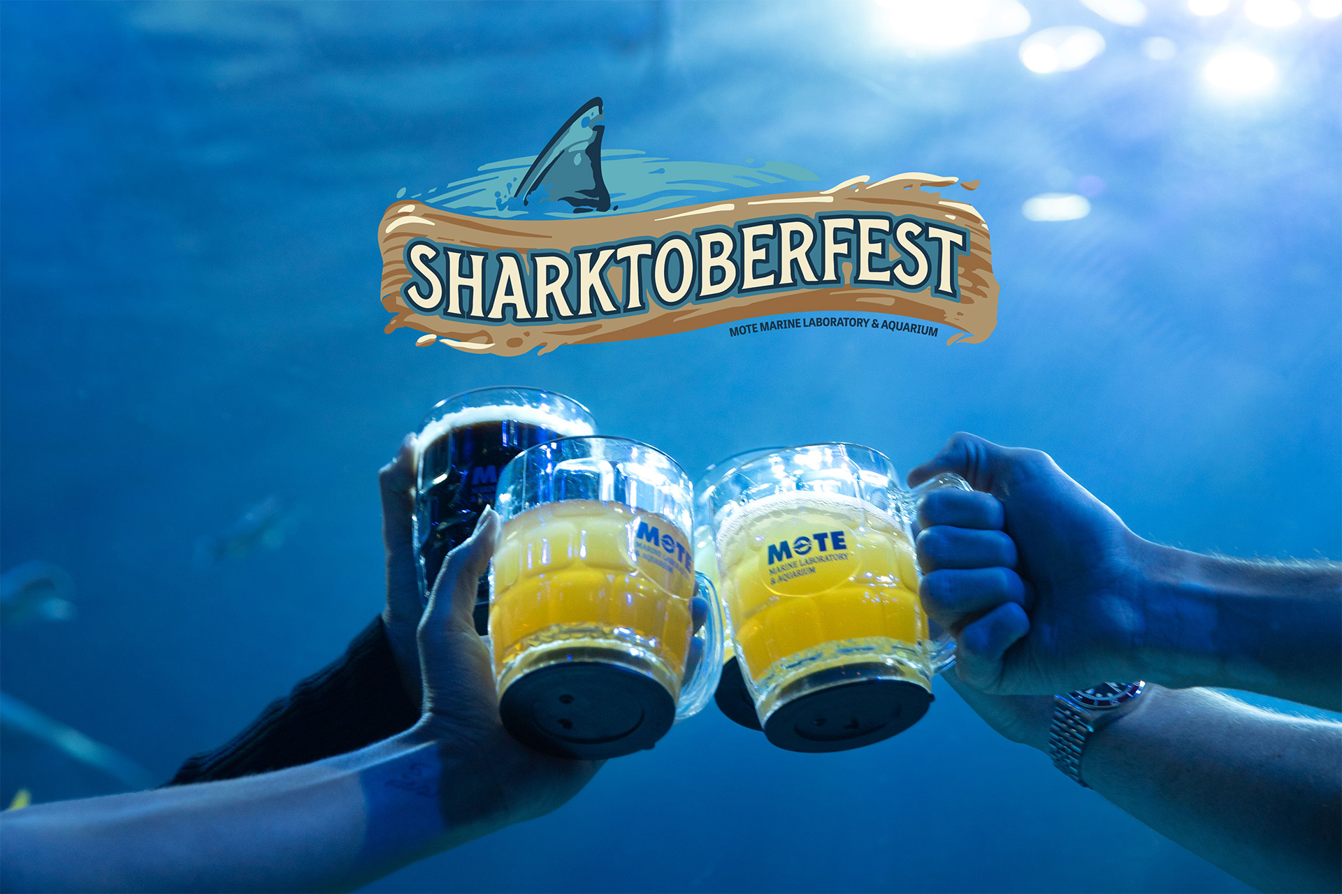 Sharktoberfest image with hands clinking three Mote beer steins under the sharktoberfest logo