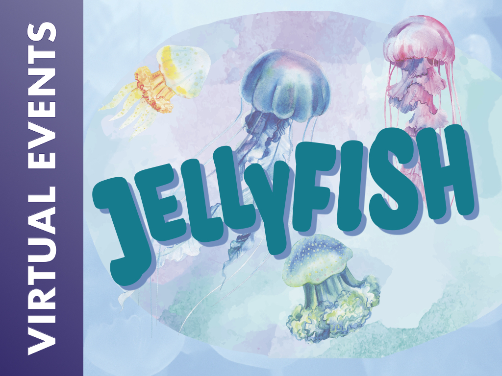 Pastel watercolor illustrations of four colorful jellyfish floating against a light blue underwater background. Large teal letters spell “JELLYFISH” diagonally across the center, while a purple sidebar on the left displays “VIRTUAL EVENTS” vertically in white letters.